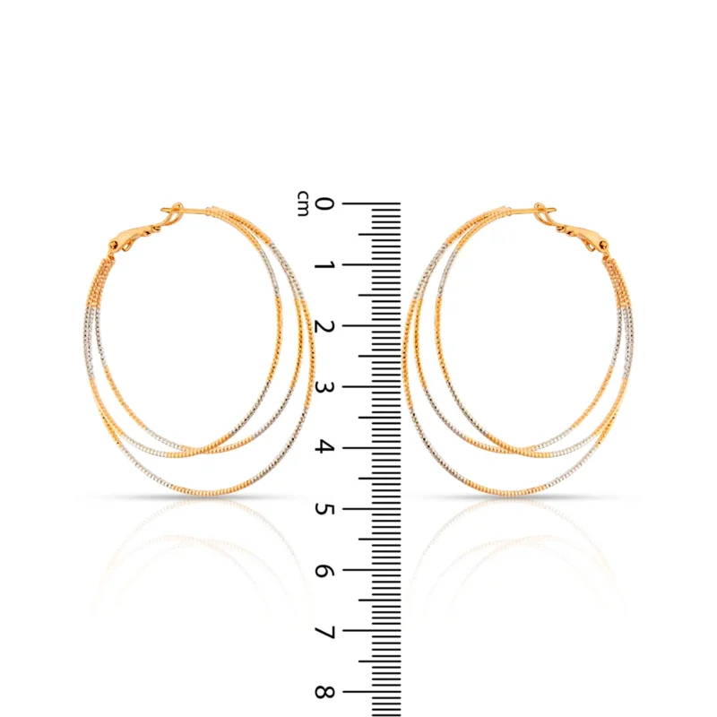 Boucles d’oreilles Cerceaux